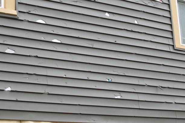 Affordable siding repair and maintenance services in Hackberry, TX