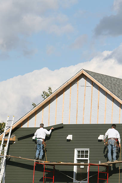 Best Stucco Siding  in Hackberry, TX